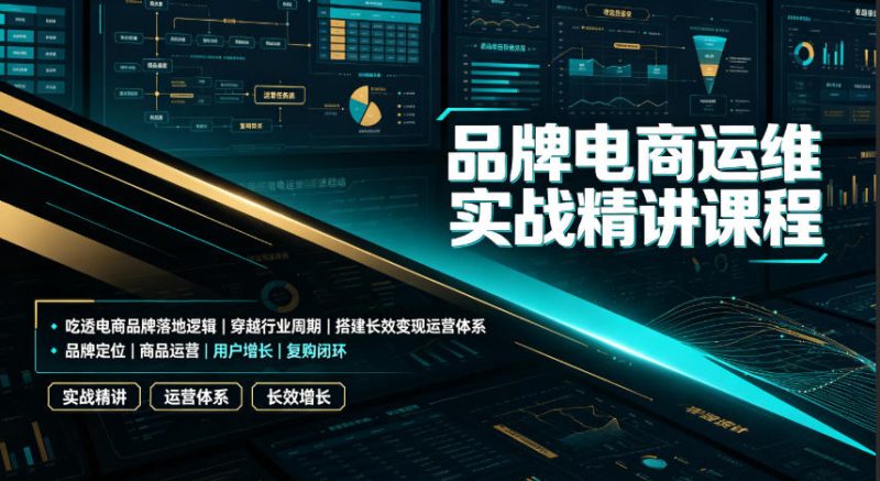 品牌电商运维实战精讲课程|吃透电商品牌落地逻辑、穿越行业周期、搭建长效变现运营体系-大梨网创