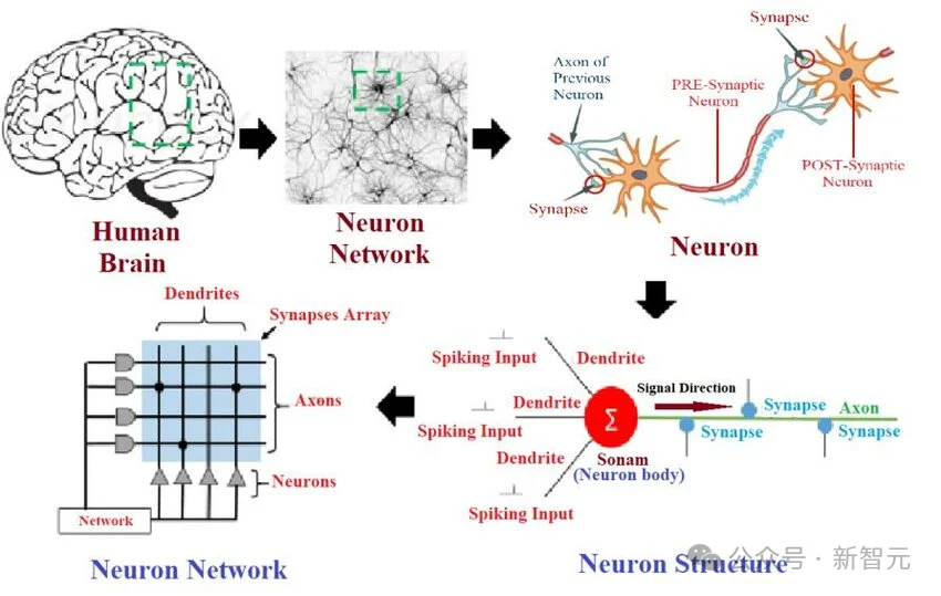 DeepMind科学家惊人预测：AGI在2028年实现，大规模失业要来了