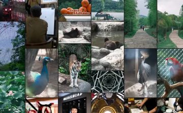 网站推荐:Afilmory – 一个开源的现代化照片画廊