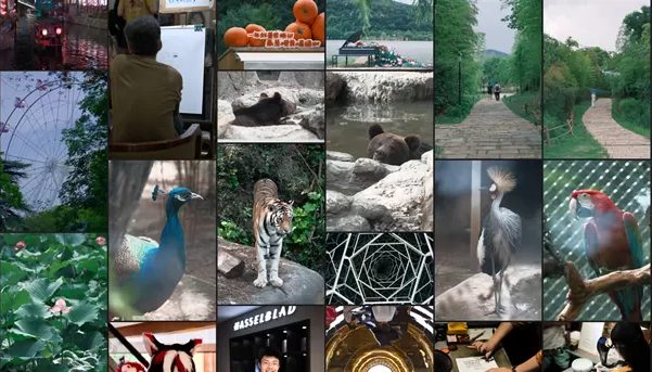 网站推荐:Afilmory – 一个开源的现代化照片画廊