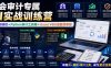 财会审计专属AI实战训练营｜AI协同编程+Python审计工具箱+Excel VBA加载项落地(更新0710)