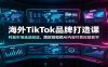 海外TikTok品牌打造课：利基市场选品验证，爆款短视频AI内容付费投放教学