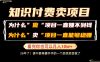 普通人为什么能够靠卖项目轻松月入10W+，而做项目却容易成炮灰，卖项目为什么能够稳賺不赔？【揭秘】