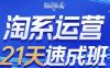淘系运营21天速成班，0基础轻松搞定淘系运营，不做假把式，快速复制落地(更新26年7月)