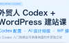 外贸人Codex + WordPress建站课