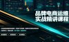 品牌电商运维实战精讲课程｜吃透电商品牌落地逻辑、穿越行业周期、搭建长效变现运营体系