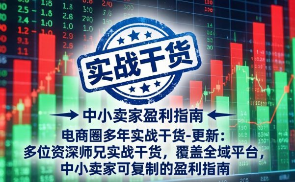 电商圈多年实战干货-更新2026:多位资深师兄实战干货/覆盖全域平台,中小卖家可复制的盈利指南