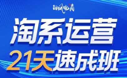白凤电商·淘系运营21天速成班(更新7月)