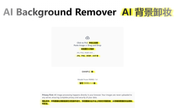 网站推荐:AI Background Remover（在线一键抠图工具，通过 AI 技术，自动去背景）
